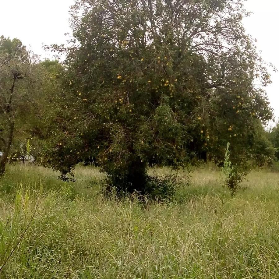 Chacra Mandala Gualeguay